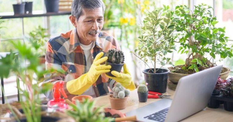 What Are the Latest Trends in Online Home Gardening Resources?