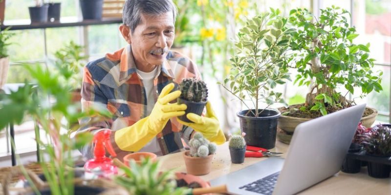 home gardening online