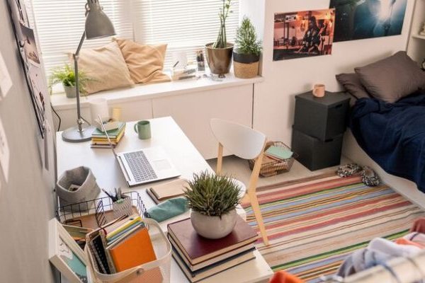 What Are Some Creative Ways to Organize a Small Living Space? small living space