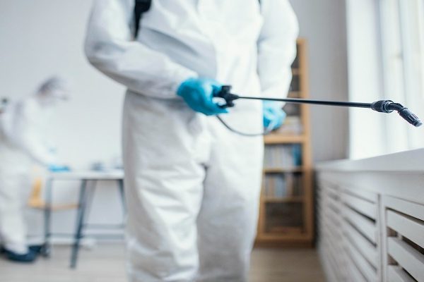 Why Do You Need to Protect Your Home from Pest Infestation? protect your home from pest Infestation