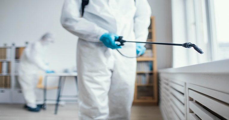 Why Do You Need to Protect Your Home from Pest Infestation?