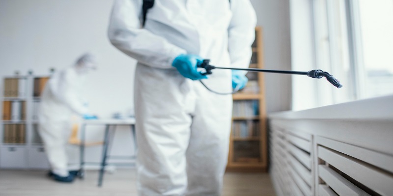 protect your home from pest Infestation