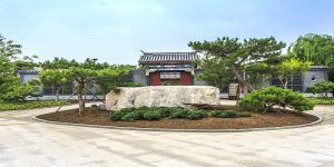 Yard Enhancement Ideas