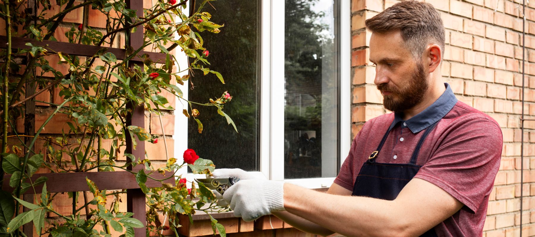 House Window Repair