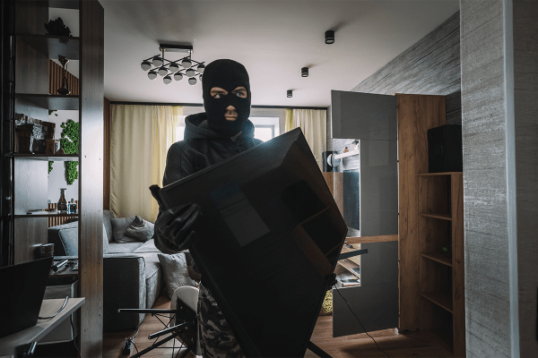 The Truths About Seasonal Security Gaps and Smart Solutions for Holiday Home Security in the USA festive security risks