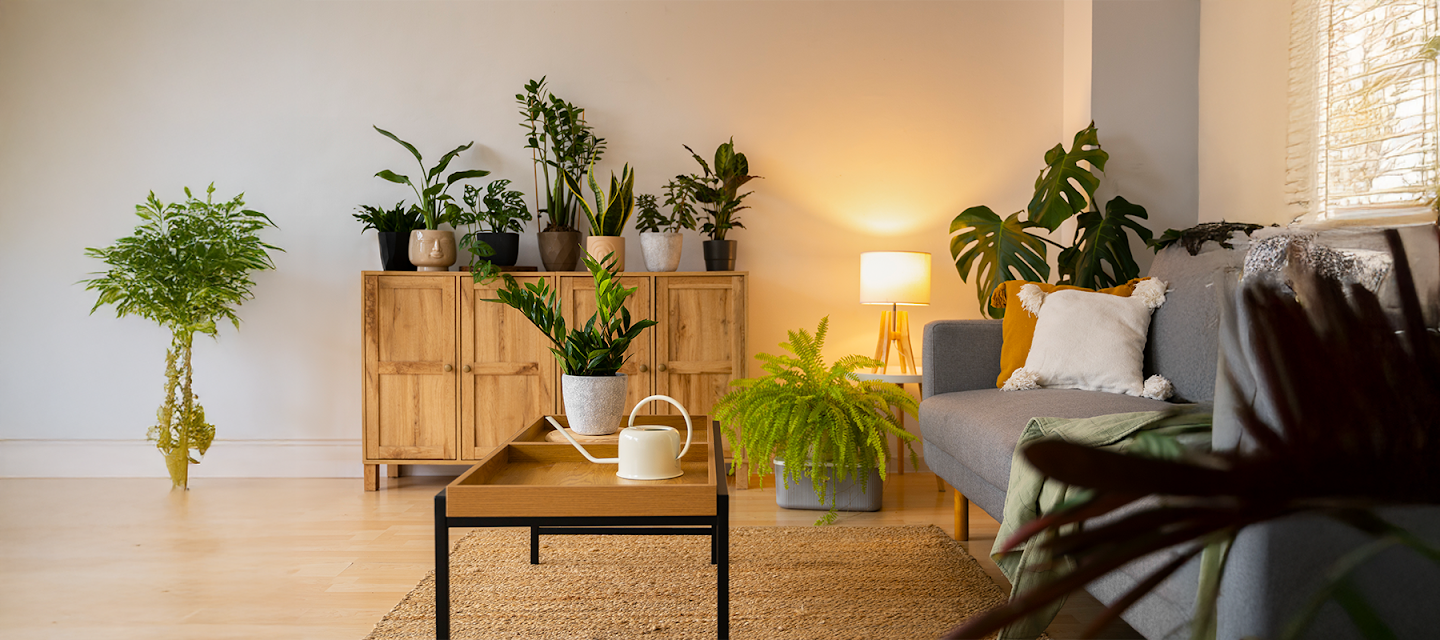 Indoor nature benefits